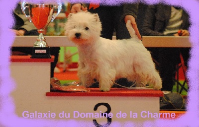 du domaine de la charme - Best in Show