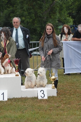 du domaine de la charme - Expo Romorantin